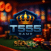 T555 Game